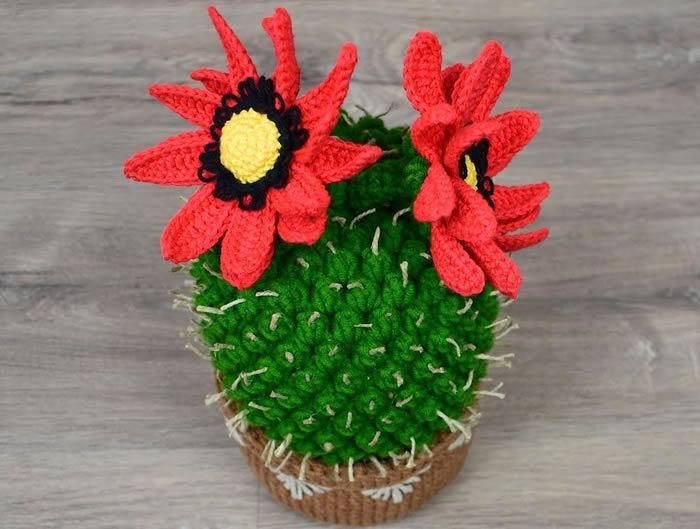 Cactus con pinchos a crochet