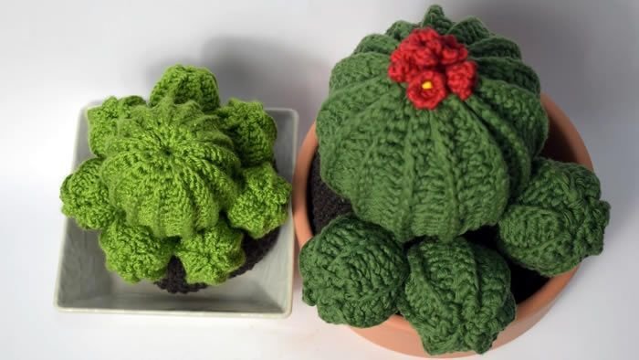Cactus redondo grande con flores tejido a crochet